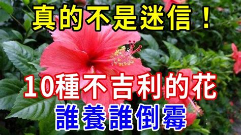 10種不吉利的花|傳說10種花，自古「不吉利」，養家裡有禍事？真相卻是···